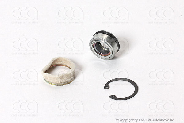 Asafdichtingen / Pakkingen Askeerring Delphi SP10