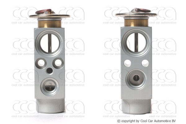 Blokventielen Expansieventiel DAF XF105