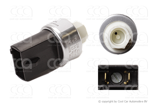 Drukschakelaars PW / AG / OR Drukschakelaar Ford / Jeep