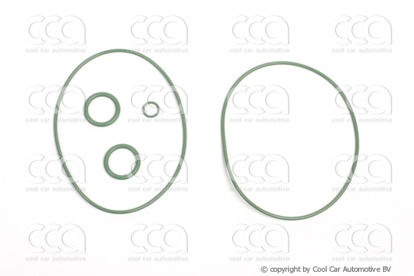Asafdichtingen / Pakkingen Pakkingset Delphi A6