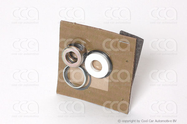 Asafdichtingen / Pakkingen Askeerring Delphi A6 / R4 (Ceramic)