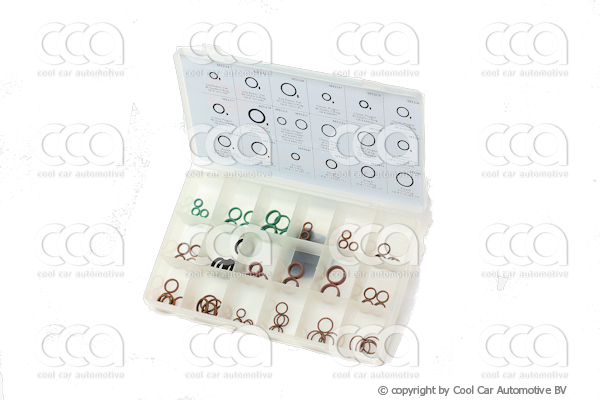 O-ringen / O-ring sets O-ring dubbel assor Ren/PSA/Fiat