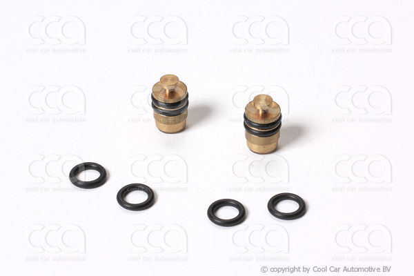 Werkplaatsuitrusting REP.  SET MANOMETERSET