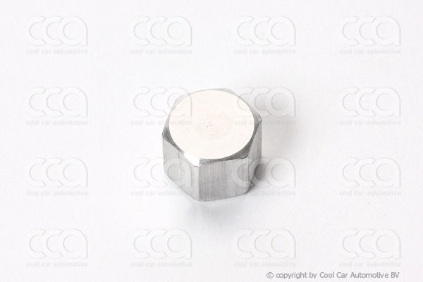 Werkplaatsuitrusting SERVICE VENTIEL DOP (1/4