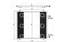 Condensors Nissens Condenser Renault Twingo 01-