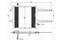Condensors Nissens Condenser VW Lupo 98>