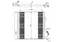 Condensors Nissens Condenser MCC Smart 0,6-0,8 98-